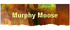 Murphy Moose